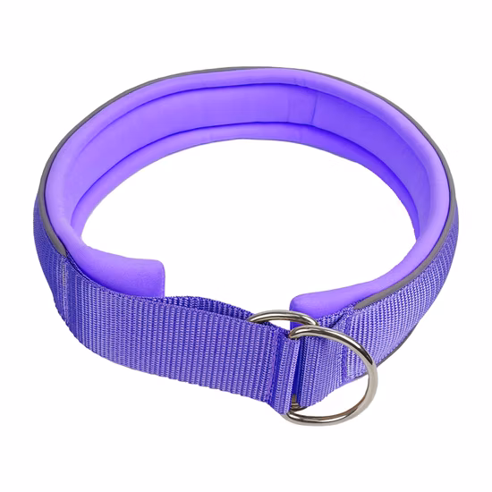 Petisland No Choke Productos para mascotas Venta al por mayor Collar para mascotas Precio de fábrica Collar de entrenamiento personalizado para perros Collar de nylon para perros con forro acolchado de neopreno